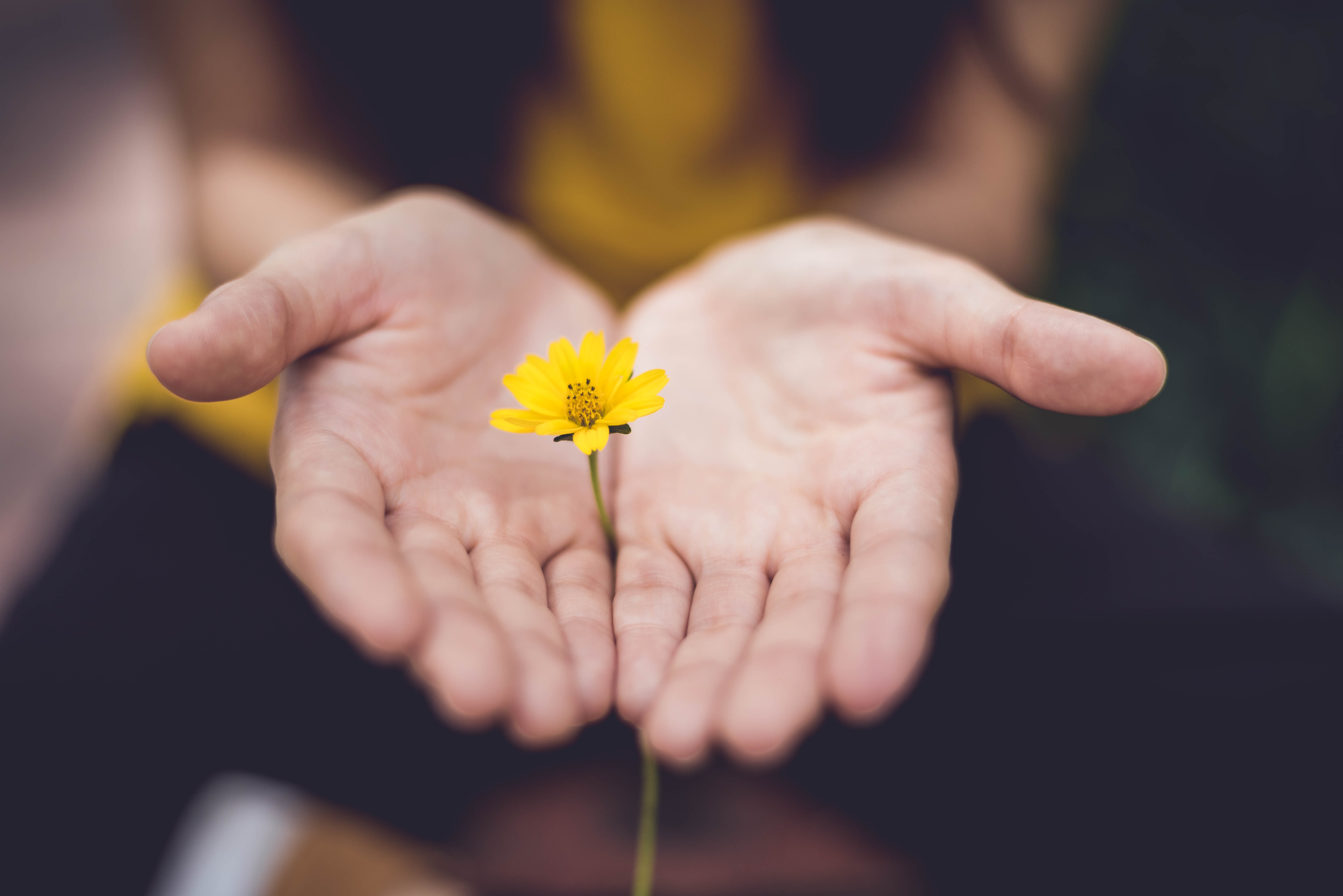 Is it just me, or is mental health becoming glamorised?