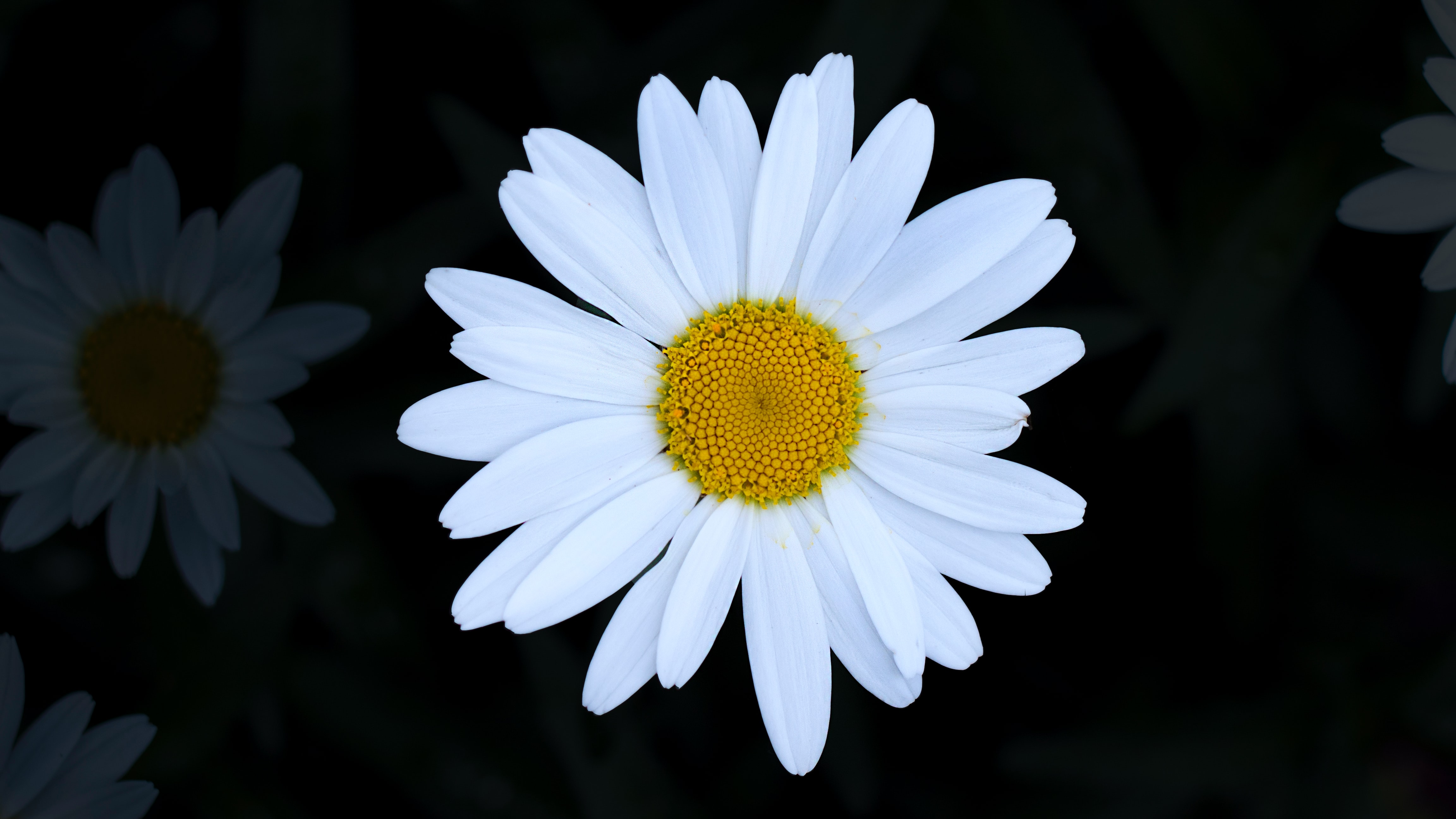 Back to blogging…
